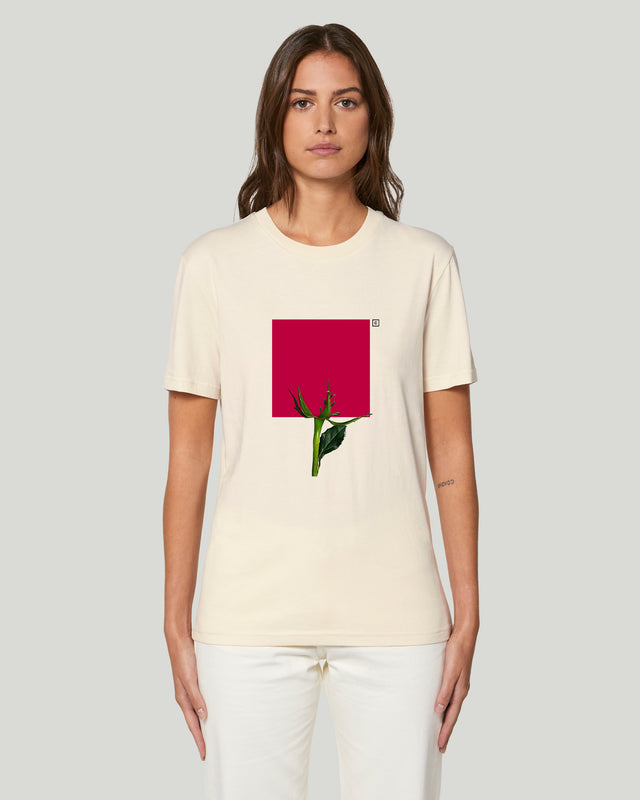 Post Sant Jordi - Instagram