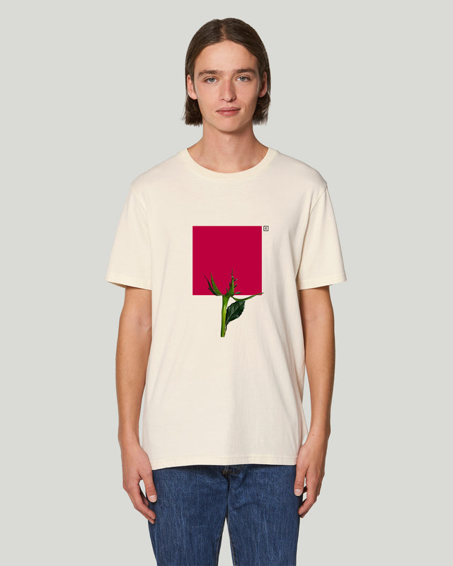 Post Sant Jordi - Instagram